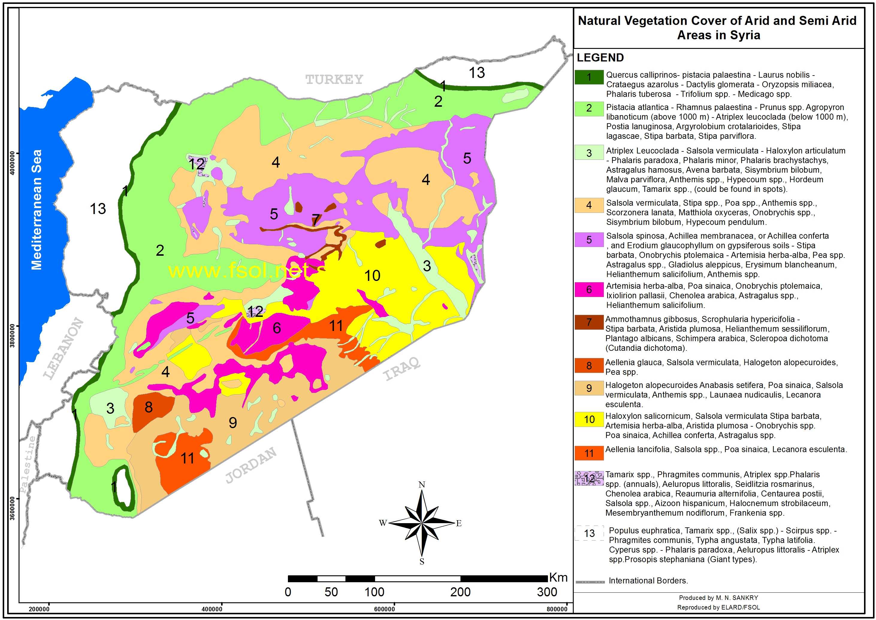 Natural Vegetation of large plants associations in dry and semi dry areas of Syria