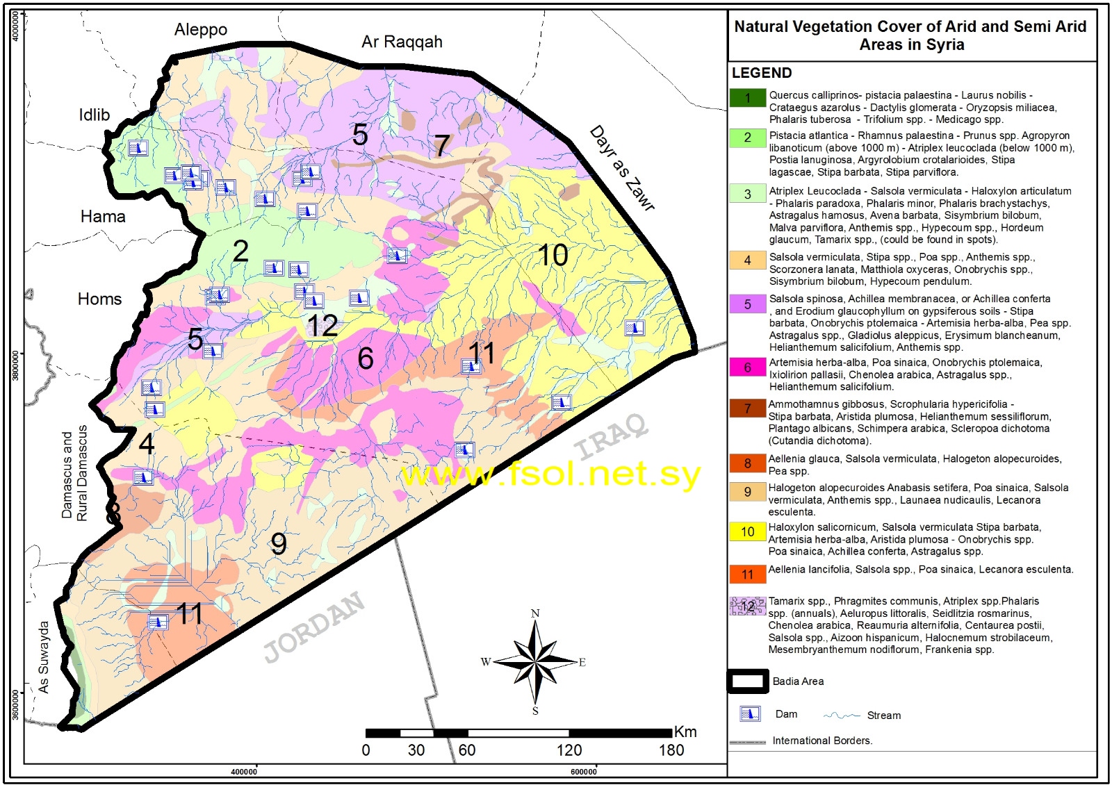 خارطة تبين المجموعات الرئيسية للغطاء النباتي في البادية السورية مع المسيلات المائية والسدود
Map plots the main vegetation groups of Badieah, the water course and dams modified by FSOL 
